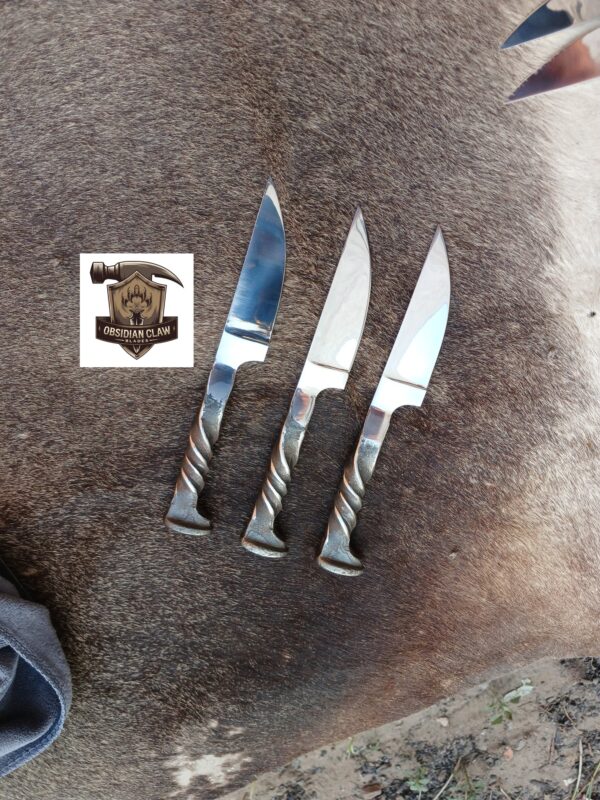 Lot of "3" Custome Handmade high carbon D2 steel  Railroad Spikes Skinner with leather sheath. - Image 2