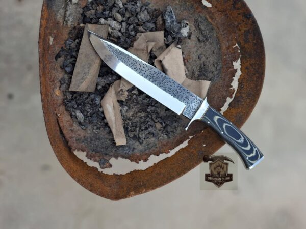 Custome Handmade J2 steel Bowie knife with leather sheath. - Image 3